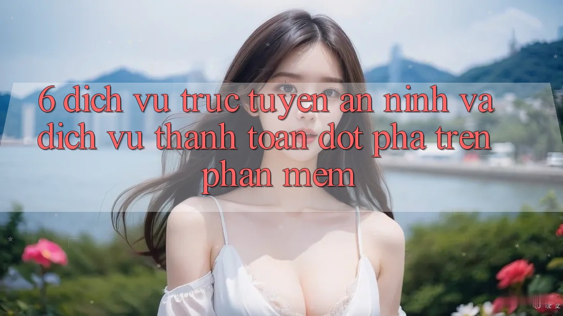 6. Dịch vụ trực tuyến An ninh Và Dịch Vụ Thanh Toán Đột Phá Trên Phần mềm