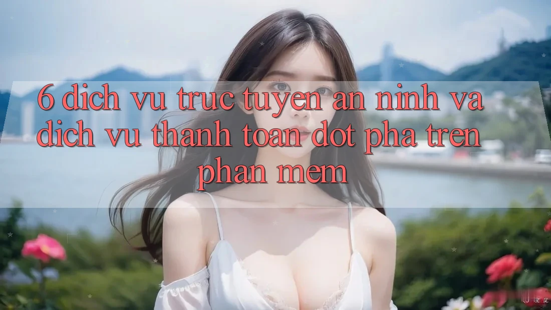 6. Dịch vụ trực tuyến An ninh Và Dịch Vụ Thanh Toán Đột Phá Trên Phần mềm