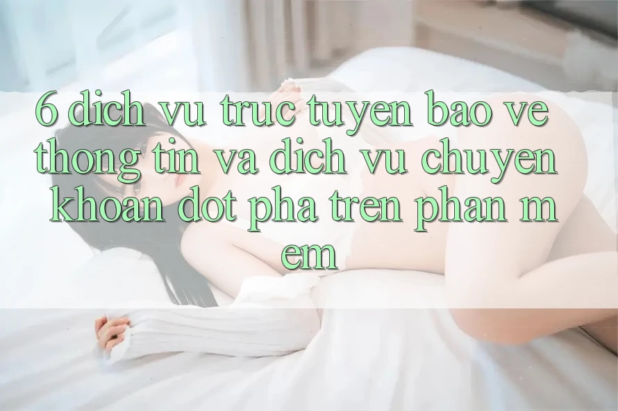 6. Dịch vụ trực tuyến Bảo vệ thông tin Và Dịch Vụ Chuyển khoản Đột Phá Trên Phần mềm 6. Dịch vụ trực tuyến Bảo vệ thông tin Và Dịch Vụ Chuyển khoản Đột Phá Trên Phần mềm