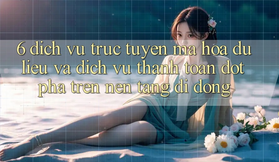6. Dịch vụ trực tuyến Mã hóa dữ liệu Và Dịch Vụ Thanh Toán Đột Phá Trên Nền tảng di động