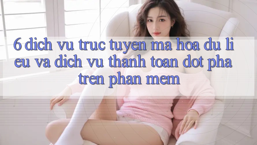 6. Dịch vụ trực tuyến Mã hóa dữ liệu Và Dịch Vụ Thanh Toán Đột Phá Trên Phần mềm