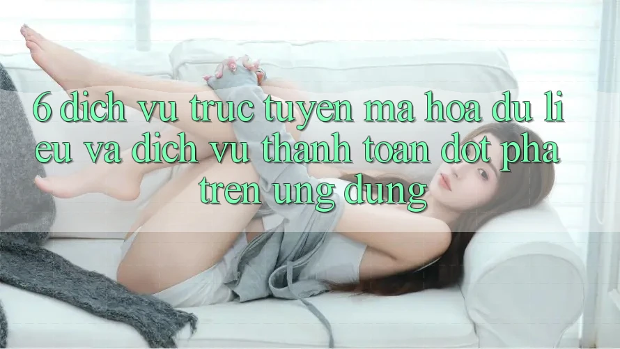 6. Dịch vụ trực tuyến Mã hóa dữ liệu Và Dịch Vụ Thanh Toán Đột Phá Trên Ứng dụng