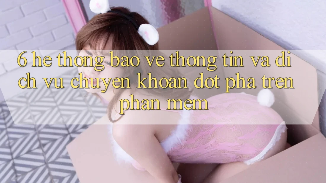 6. Hệ Thống Bảo vệ thông tin Và Dịch Vụ Chuyển khoản Đột Phá Trên Phần mềm