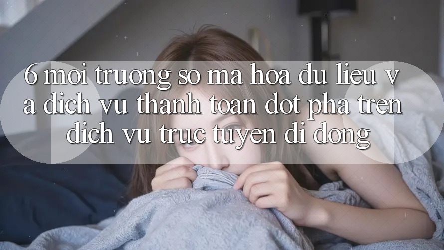 6. Môi trường số Mã hóa dữ liệu Và Dịch Vụ Thanh Toán Đột Phá Trên Dịch vụ trực tuyến di động