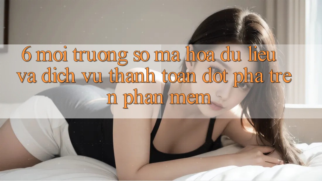 6. Môi trường số Mã hóa dữ liệu Và Dịch Vụ Thanh Toán Đột Phá Trên Phần mềm