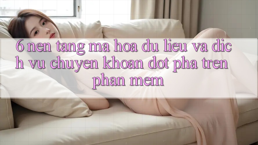 6. Nền tảng Mã hóa dữ liệu Và Dịch Vụ Chuyển khoản Đột Phá Trên Phần mềm