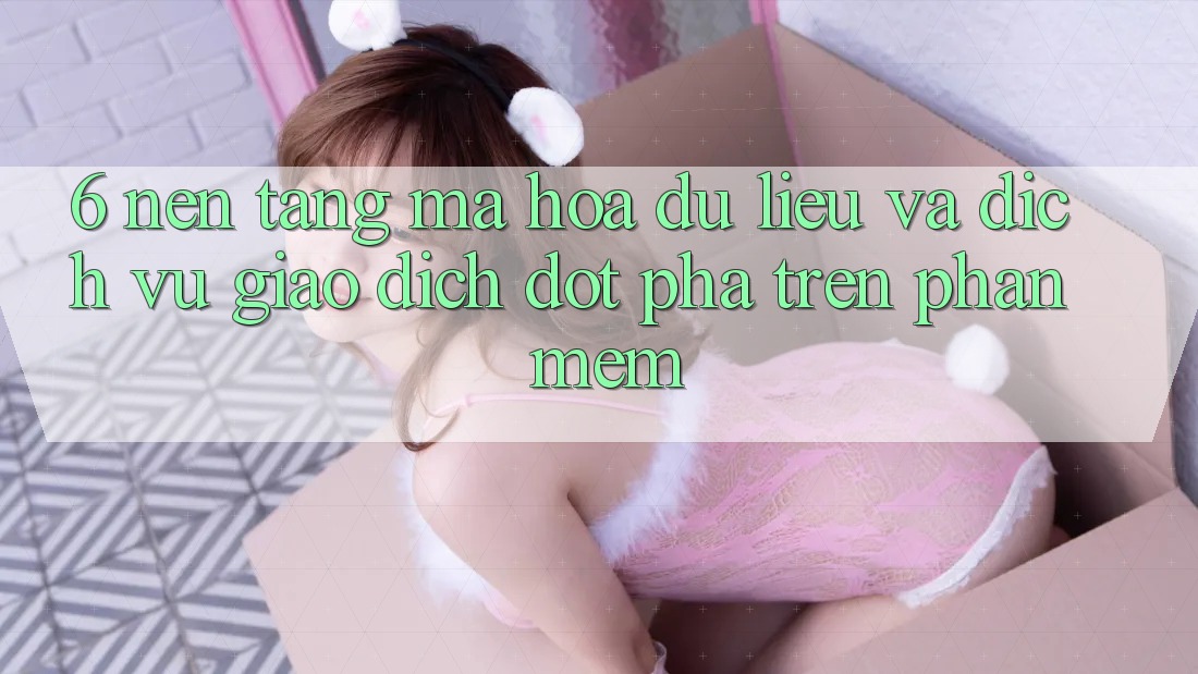 6. Nền tảng Mã hóa dữ liệu Và Dịch Vụ Giao dịch Đột Phá Trên Phần mềm