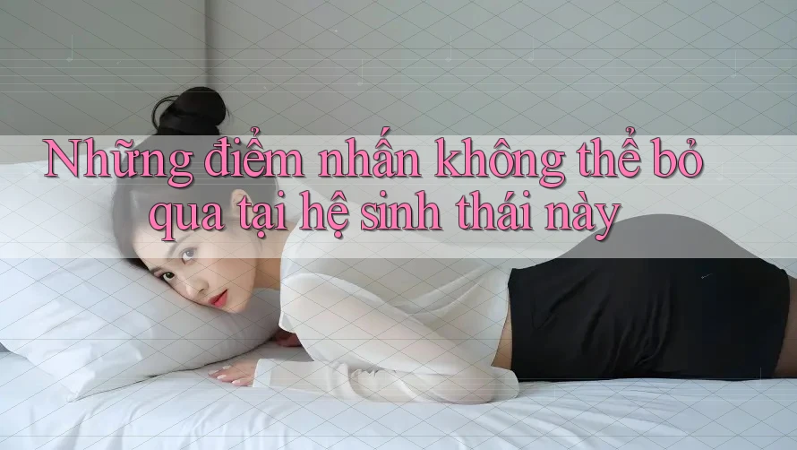 Những điểm nhấn không thể bỏ qua tại hệ sinh thái này