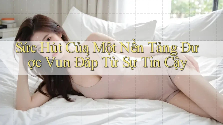 Sức Hút Của Một Nền Tảng Được Vun Đắp Từ Sự Tin Cậy