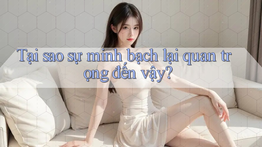 Tại sao sự minh bạch lại quan trọng đến vậy? Tại sao sự minh bạch lại quan trọng đến vậy?