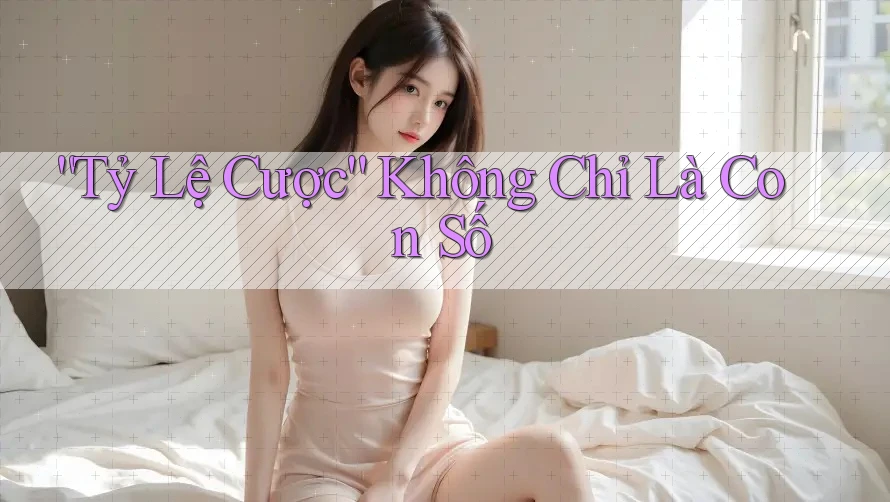 Tỷ Lệ Cược Không Chỉ Là Con Số