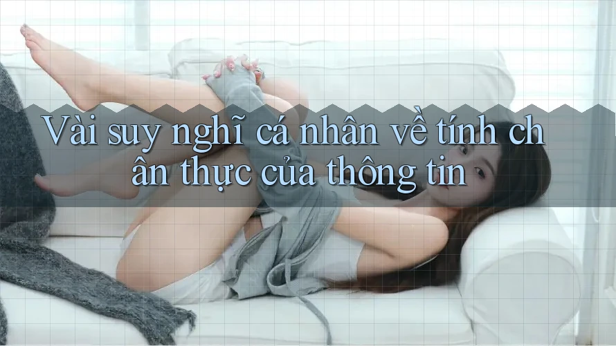 Vài suy nghĩ cá nhân về tính chân thực của thông tin